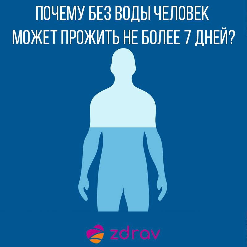 Почему без воды человек может прожить не более 7 дней?